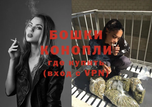 метадон Вяземский