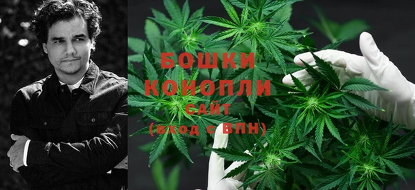 ГАЛЛЮЦИНОГЕННЫЕ ГРИБЫ Вязьма