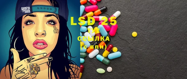 ГАЛЛЮЦИНОГЕННЫЕ ГРИБЫ Вязьма