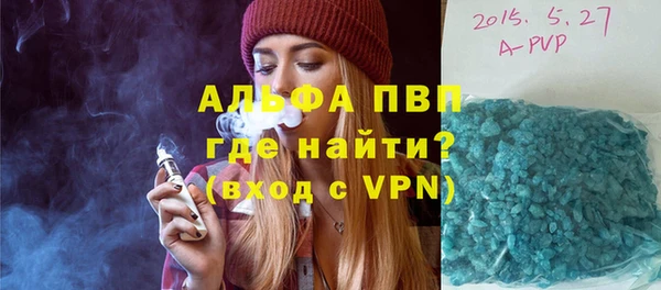 ГАЛЛЮЦИНОГЕННЫЕ ГРИБЫ Вязьма