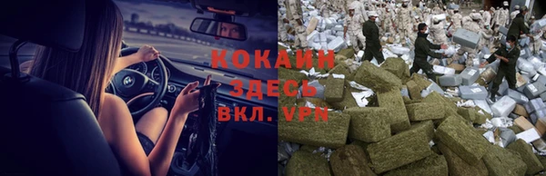 ГАЛЛЮЦИНОГЕННЫЕ ГРИБЫ Вязьма
